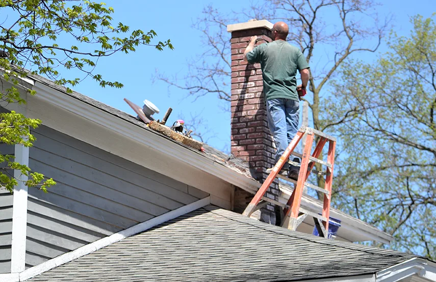 Chimney & Fireplace Inspections Services in Town 'n' Country, FL